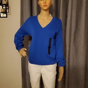 Banana Republic Blue V-Neck Sweater